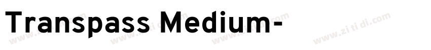Transpass Medium字体转换